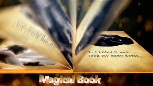 3D Magical Book 762 Project for After Effects