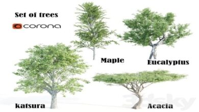 3DSky - set of tree05 3D Model