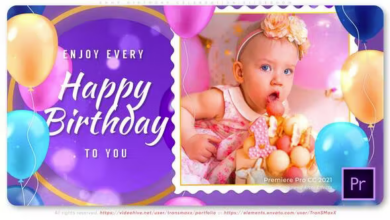 Videohive - Anny Birthday Celebration Slideshow - 37136678 - Premiere Pro Templates