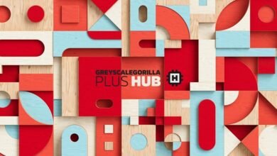 GSG Plus Hub Plugins for Cinema 4D (WiN)