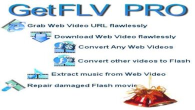 GetFLV 30.2204.67 Multilingual