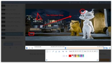 ازالة العلامة المائية من الفيديو GiliSoft Video Watermark Master 8.3.0