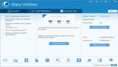 Glary Utilities Pro 5.186.0.215 Multilingual