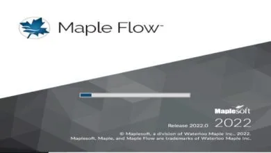 Maplesoft Maple Flow 2022 (x64)