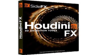 SideFX Houdini 19.0.589 (x64)