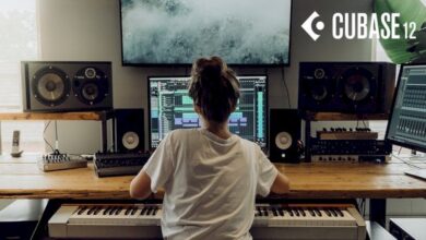 Steinberg Cubase Pro 12.0.10 (x64) Multilingual