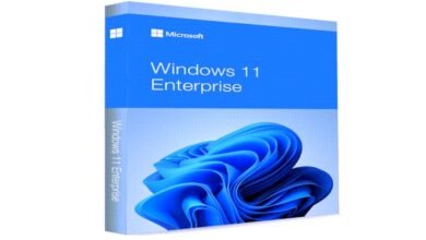 اصدار جديد مع اللغة العربية Windows 11 Enterprise 21H2 Build 22000.593 (No TPM Required) Multilingual Preactivated