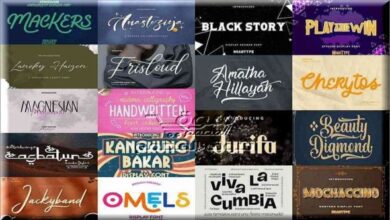 20 Super Creative Fresh Fonts in 1 Pack