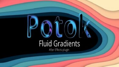 AEScripts Potok v1.1.1 (WiN/macOS)  v1.1.3