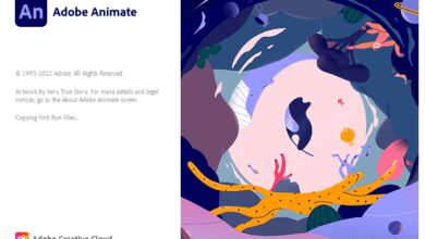 Adobe Animate 2022 v22.0.6.202 (x64) Multilingual