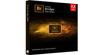 تحميل مجاني Adobe Bridge 2022 v12.0.2.252 x64