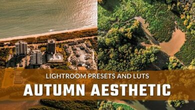 Autumn Aesthetic LUTs and Lightroom Presets