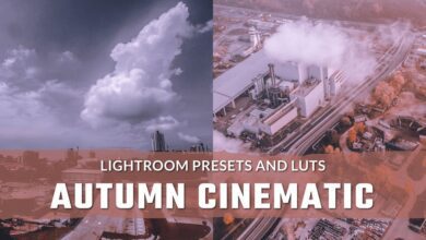 Autumn Cinematic LUTs and Lightroom Presets