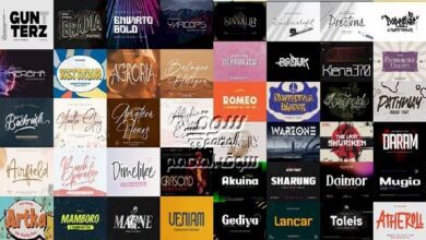 Awesome Fonts Bundle