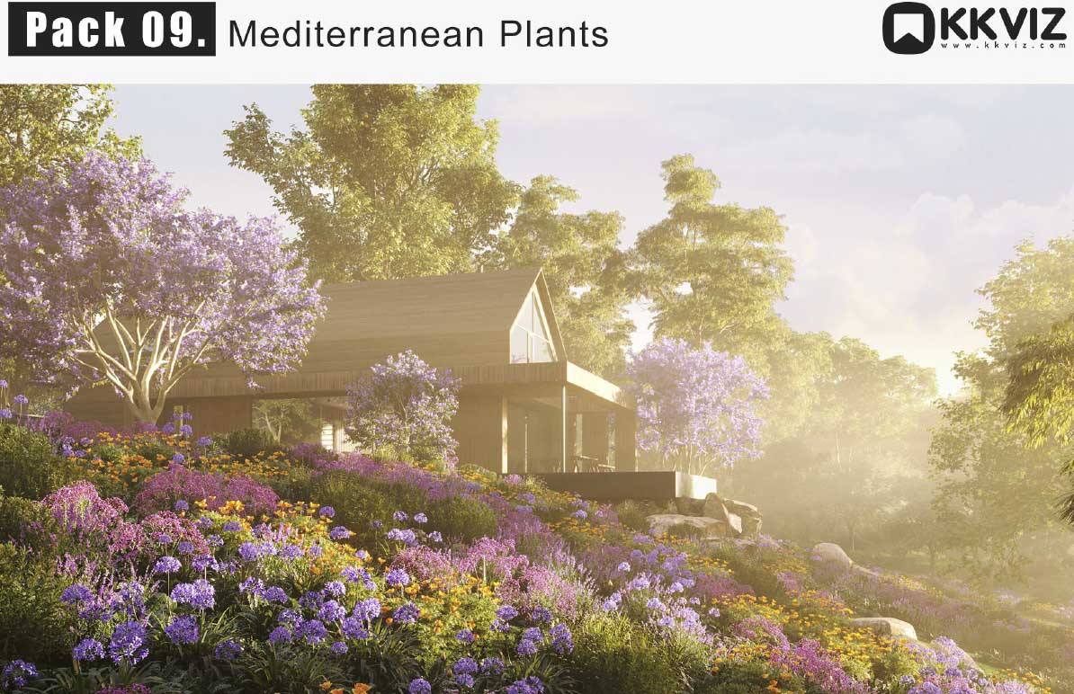 KKVIZ - Pack 09 - Mediterranean Plants