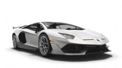 Lamborghini Aventador Roadster SVJ 2021 3d Model