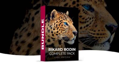 Rikard Rodin Complete Pack الكورسات كاملة سعرها $1,465 تحميل مجاني