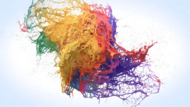 Videohive - Rotating Paint Logo Reveal - 31167224