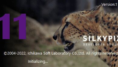 SILKYPIX Developer Studio 11.1.4.1 (x64) Full Version