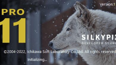 SILKYPIX Developer Studio Pro 11.0.4.1 (x64)