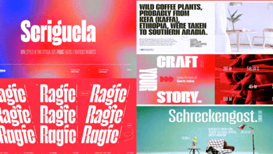 Seriguela Font Family