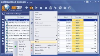 Ant Download Manager 2.7.1 Pre-Activated & Portable