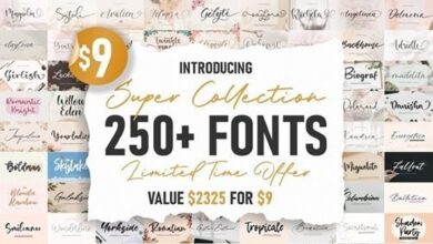 اكثر من 250 خط مدفوع || Super Collection Font Bundle - 258 Premium Font