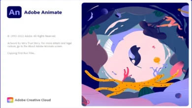 Adobe Animate 2022 v22.0.7.214 x64 Multilingual