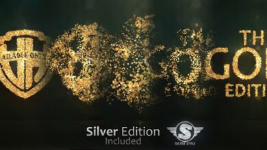 Videohive - Glitter Gold Particles Logo - 38318583