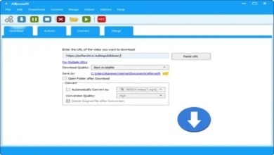 Allavsoft Video Downloader Converter 3.24.9.8219 Multilingual