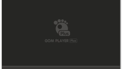 GOM Player Plus 2.3.77.5342 (x64) Multilingual