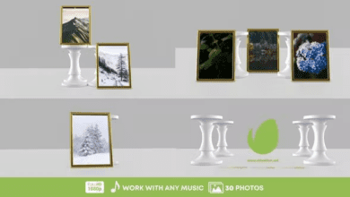 Videohive - Clean Photos Gallery - 38587269 - Project for After Effects