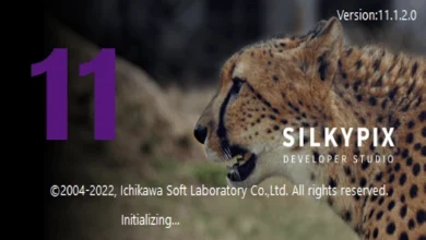 SILKYPIX Developer Studio 11.1.5.0 (x64)