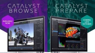 Sony Catalyst Browse / Prepare Suite 2022.1