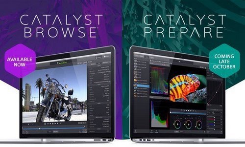 Sony Catalyst Browse Prepare Suite 2022.1