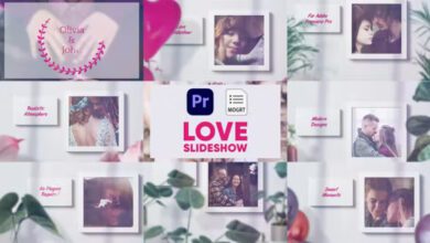 Videohive - Lovely Tree Photo Gallery - 38561320 - Premiere Pro Templates