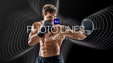 Videohive PhotoLines Animator 37455929