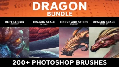 حزمة التنين Dragon bundle - 5273533