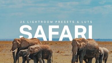 25 Safari Lightroom Presets LUTs - 7538790