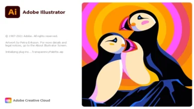 Adobe Illustrator 2022 26.4.1.111