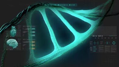 Videohive - HUD Medical Interface DNA - 38147713