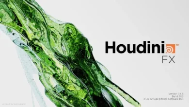 SideFX Houdini FX 19.5.303