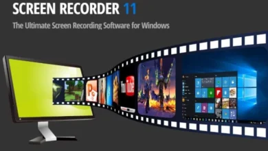 ZD Soft Screen Recorder 11.4