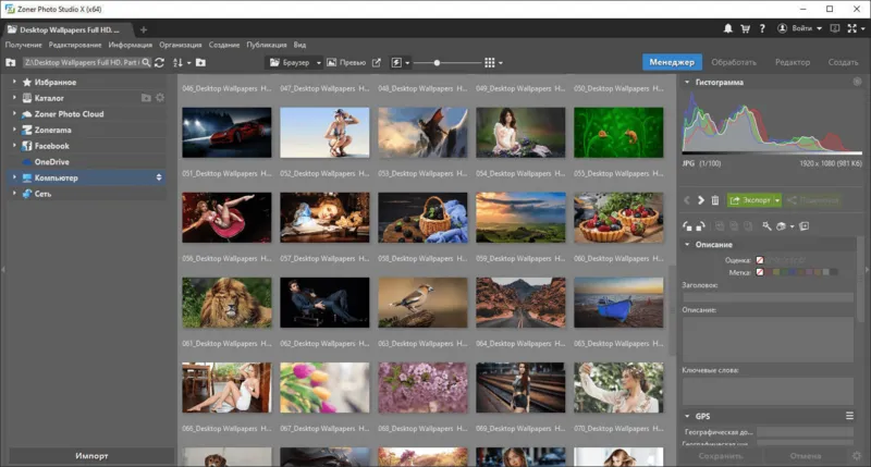 Zoner Photo Studio X 19.2203.2.393 Preactivated