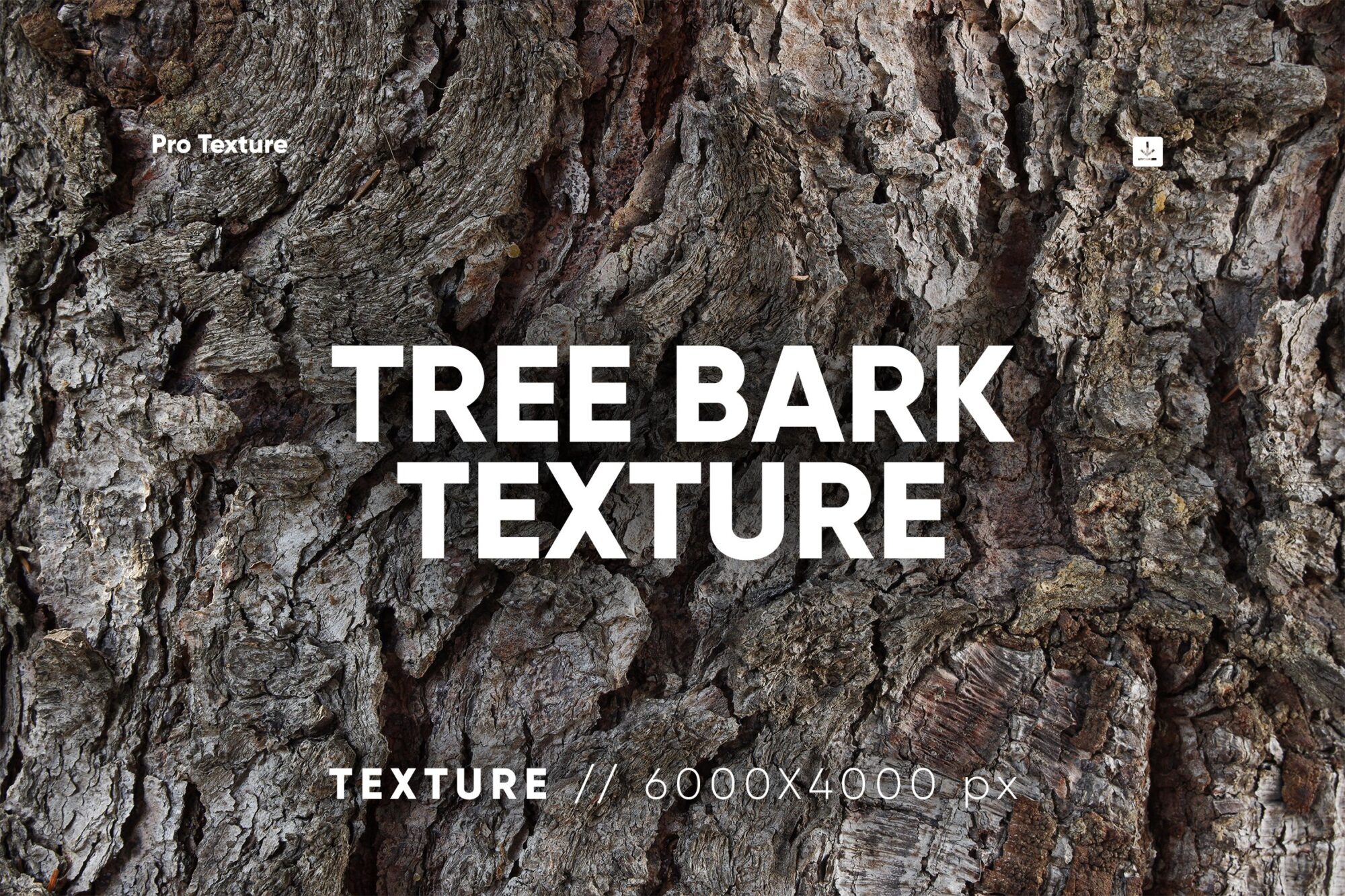 20 نسيج لحاء الشجر  Tree Bark Textures - 7488659