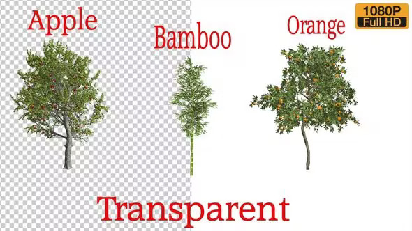 3 Types Tree Animation Pack