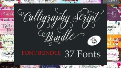 Calligraphy Script Font Bundle