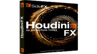 SideFX Houdini 19.5.368 (x64)