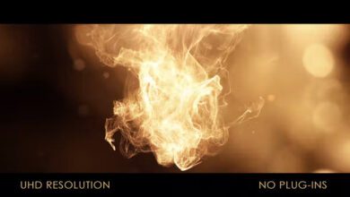 Videohive - Luxury Logo Intro - 39518724