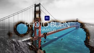 Videohive - Photo Burn Animator for Premiere Pro - 37866881